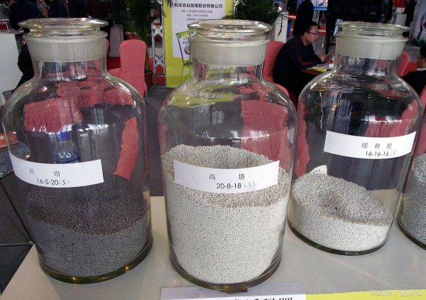 壹配资网门户 过磷酸钙vs钙镁磷肥：选对了亩产增加，选错了白花钱还伤地