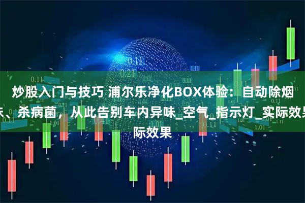 炒股入门与技巧 浦尔乐净化BOX体验：自动除烟味、杀病菌，从此告别车内异味_空气_指示灯_实际效果